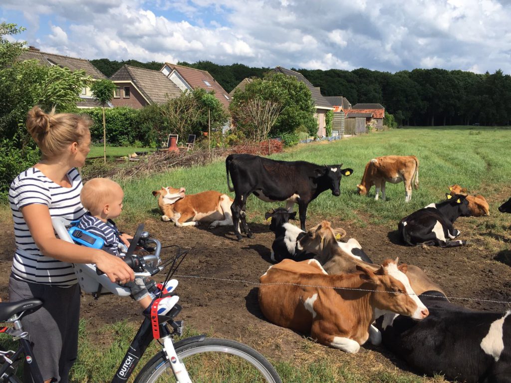 Kamperen in Drenthe met kinderen