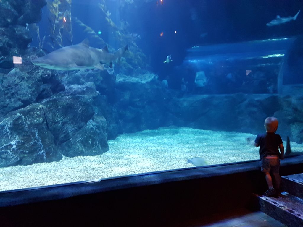 Aquarium in Thailand