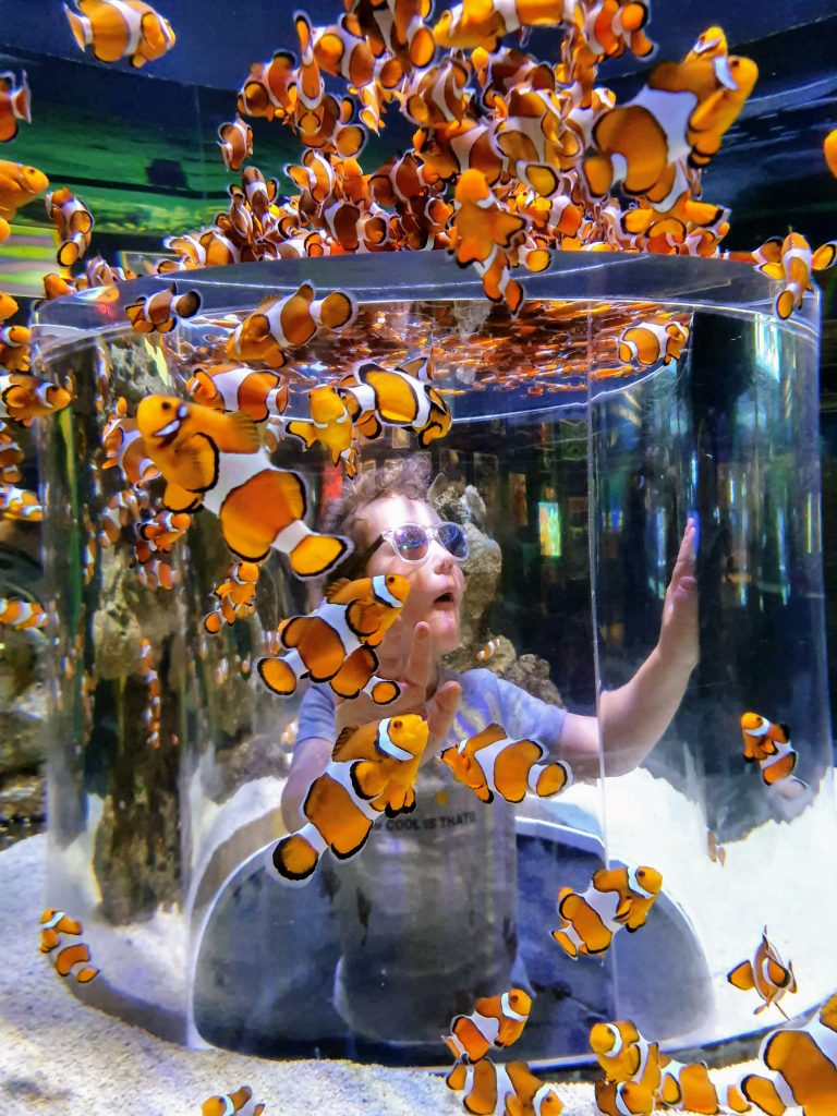 Aquarium Zuid Afrika