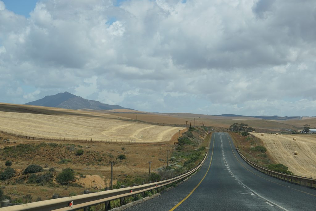 Roadtrip Zuid- Afrika
