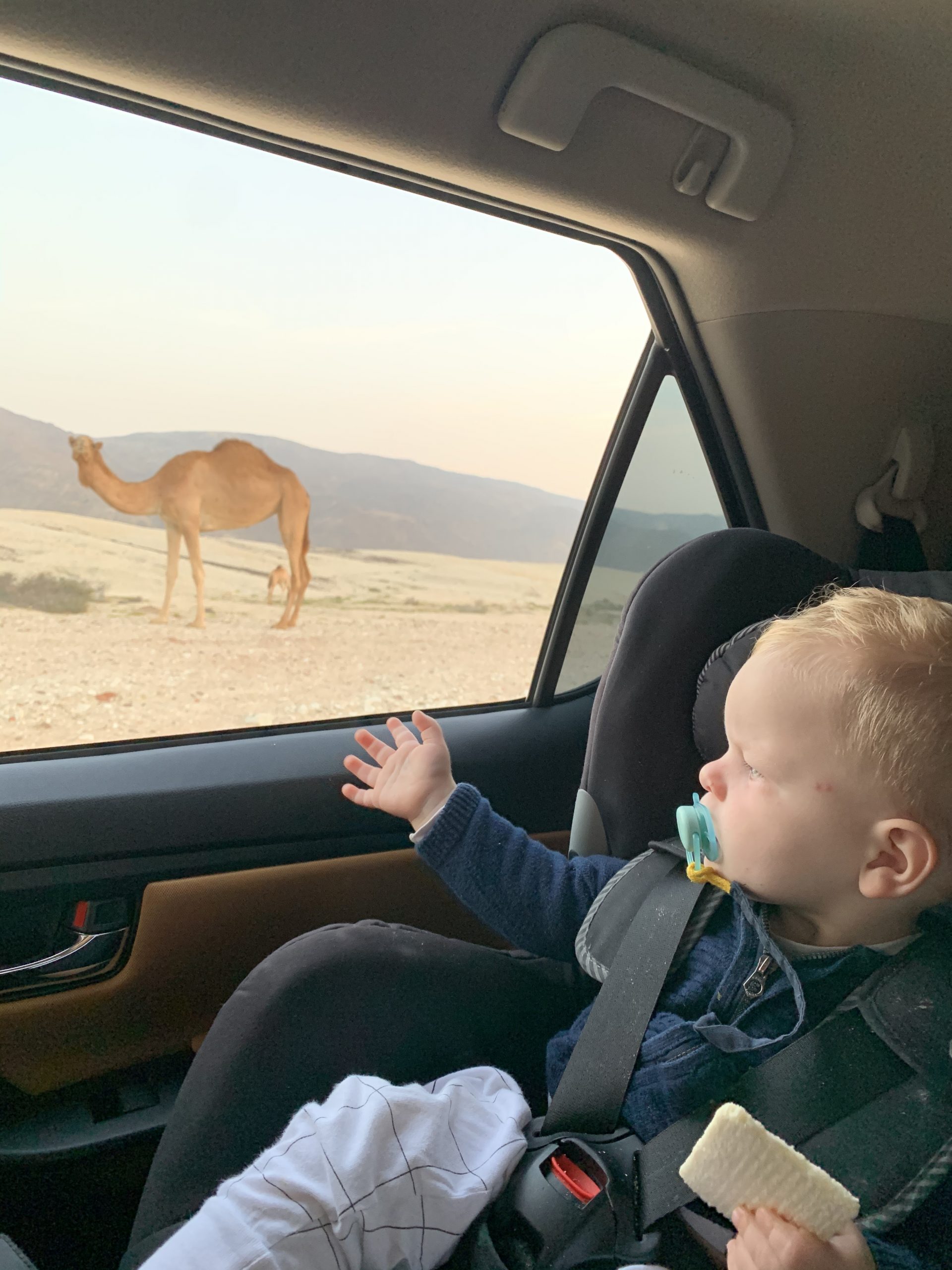 Rondreis Oman met kinderen
