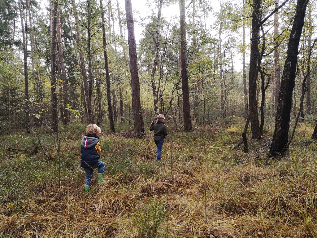 Wandelen in het bos met kinderen