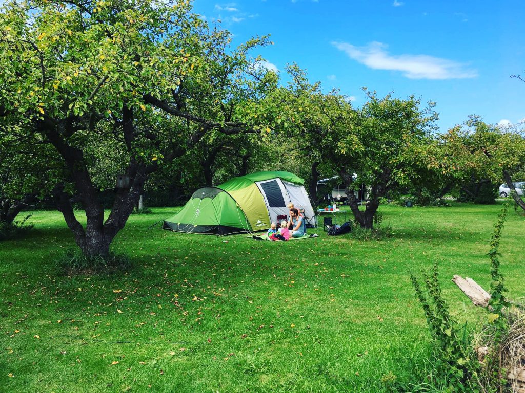 Kindvriendelijke campings in Noord-Holland