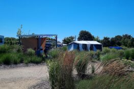 Kamperen in de Franse Vendée: Le Pin Parasol