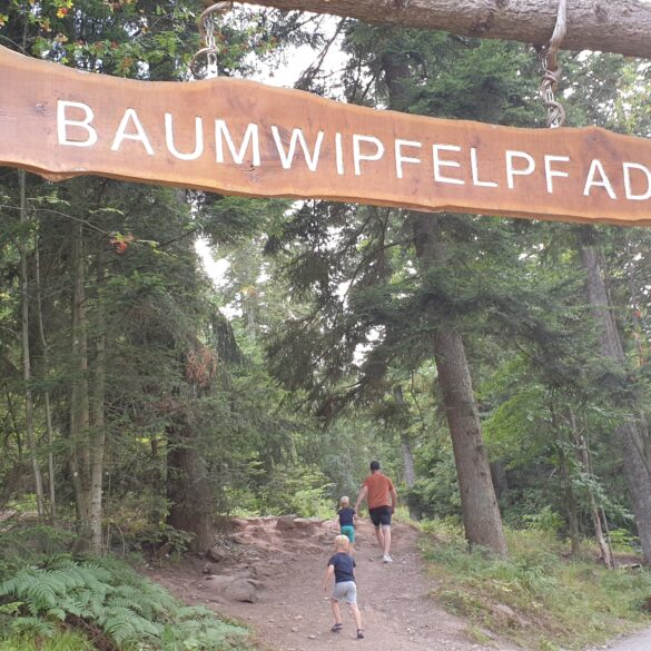 Baumwipfelpad Bad Wildbad Duitsland