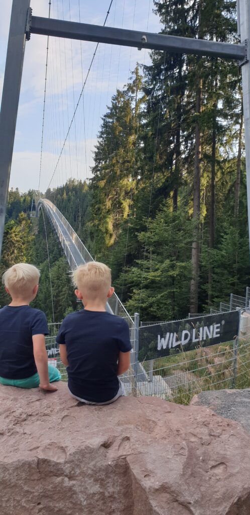 Wildline Hangbrücke Bad Wildbad