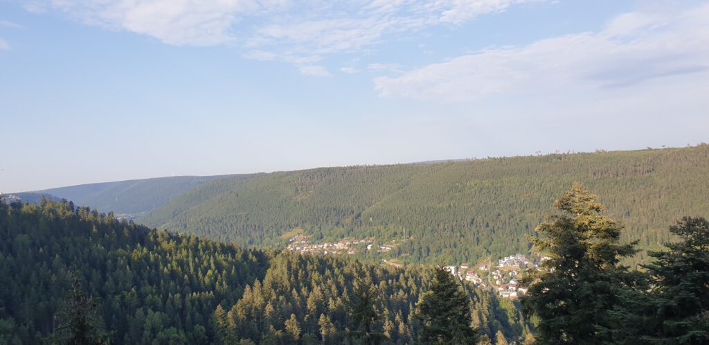 Uitzicht Wildline Hangbrug Duitsland
