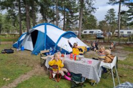 kindvriendelijke camping in Brabant