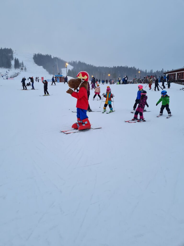 Säfsen kindvriendelijke skigebied Zweden