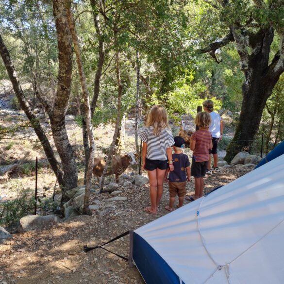 Camping Tizarella Corsica
