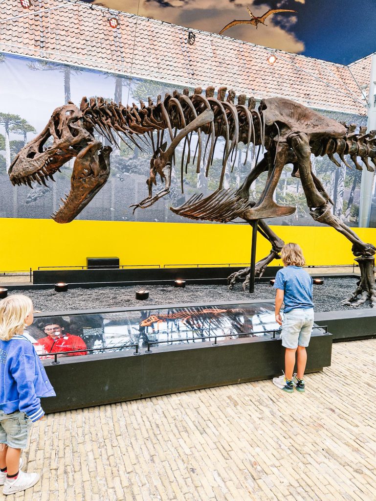 T-rex in town Leeuwarden