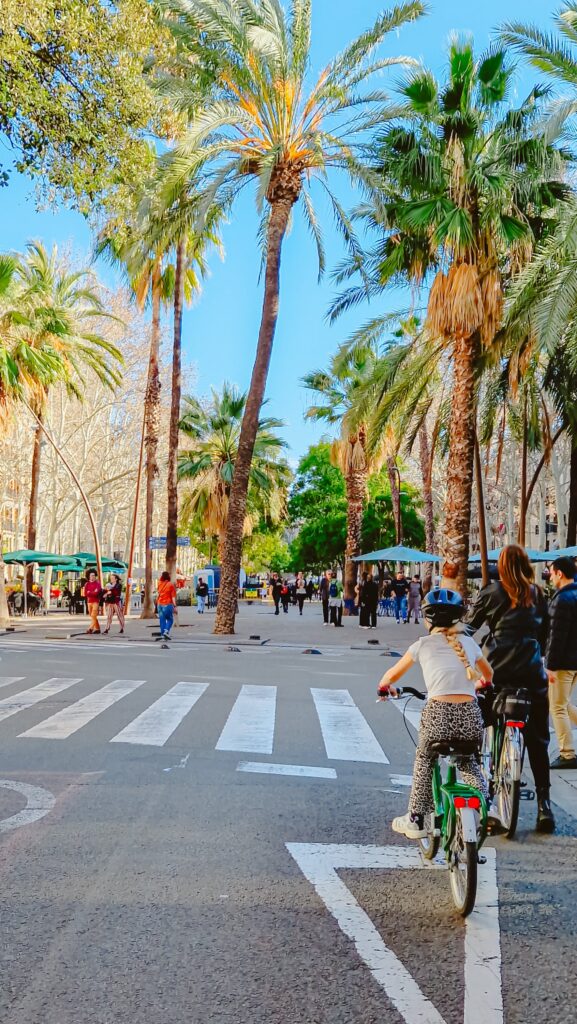 fietstocht met kids in Barcelona