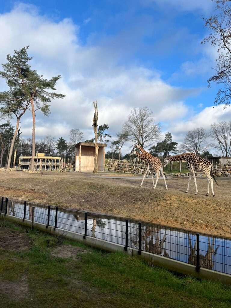 leukste dierentuin van Nederland